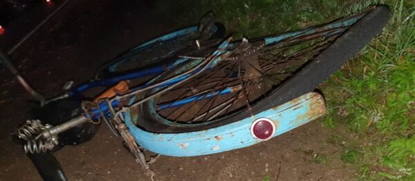 Авария с велосипедистом - Sputnik Литва