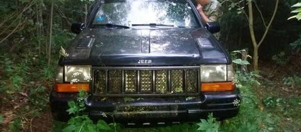 Задержание нарушителя - Sputnik Литва