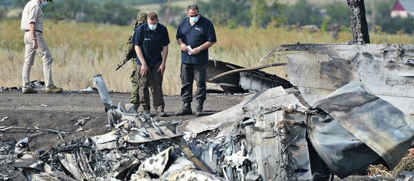Место крушения малайзийского Boeing 777 в Донецкой области, архивное фото - Sputnik Литва