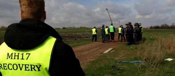 Эксперты из Нидерландов и Малайзии посетили место крушения Боинга в Донецкой области, архивное фото - Sputnik Литва