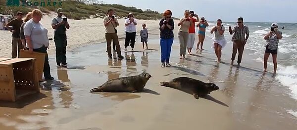 Отрадный и Янтарный ушли в большую воду - Sputnik Литва