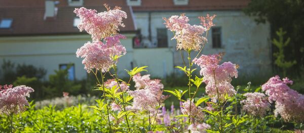 vasara vasara - Sputnik Lietuva