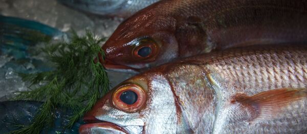 Международная выставка продуктов питания в Москве - Sputnik Литва