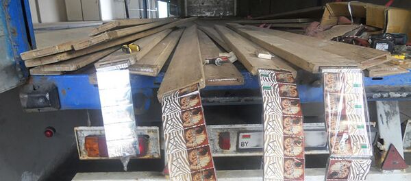 Muitininkai sulaikė įmantriai paslėptą kontrabandą: vilkiko tento lentose ir dugne Muitininkai sulaikė įmantriai paslėptą kontrabandą: vilkiko tento lentose ir dugne - Sputnik Lietuva