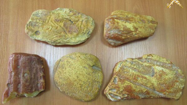Крупные камни необработанного янтаря пытался вывезти с территории ЕАЭС гражданин России - Sputnik Литва