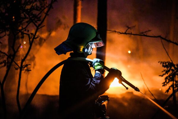 Пожарный тушит лесной пожар в Цильтендорфе близ Франкфурта-на-Одере, северо-восточная Германия, недалеко от границы с Польшей - Sputnik Lietuva