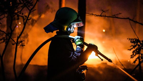 Пожарный тушит лесной пожар в Цильтендорфе близ Франкфурта-на-Одере, северо-восточная Германия, недалеко от границы с Польшей - Sputnik Литва