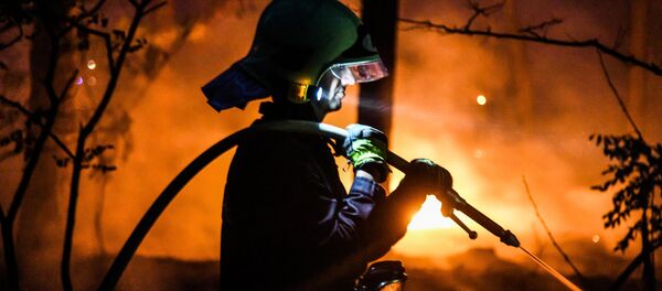 Пожарный тушит лесной пожар в Цильтендорфе близ Франкфурта-на-Одере, северо-восточная Германия, недалеко от границы с Польшей - Sputnik Литва