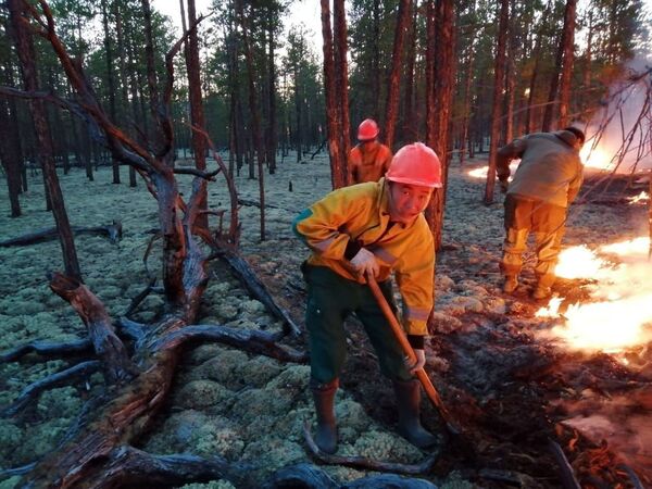 Сотрудники Министерства охраны природы Якутии тушат горящий лес - Sputnik Литва