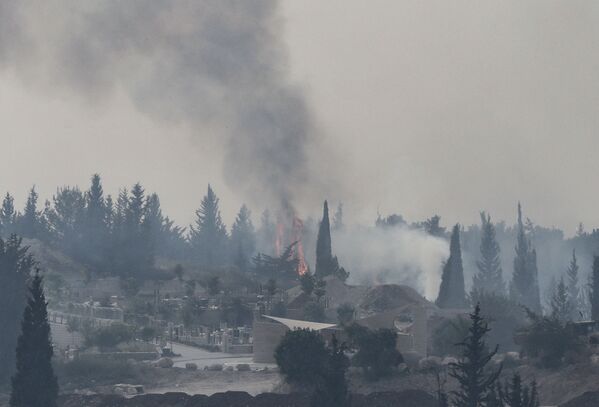 Дым над сгоревшим лесом в Израиле - Sputnik Lietuva