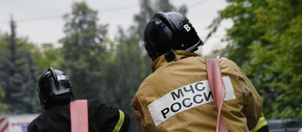 Сотрудники противопожарной службы МЧС, архифное фото - Sputnik Литва