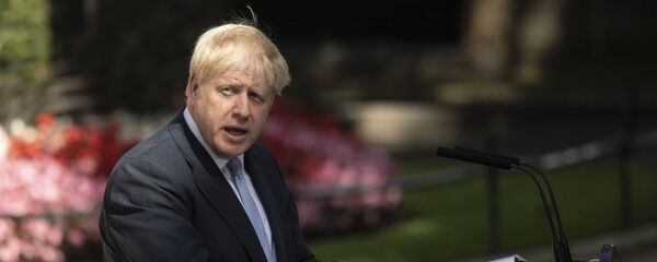 Премьер-министр Борис Джонсон выступает перед журналистами у резиденции на Даунинг-стрит Премьер-министр Борис Джонсон выступает перед журналистами у резиденции на Даунинг-стрит - Sputnik Литва