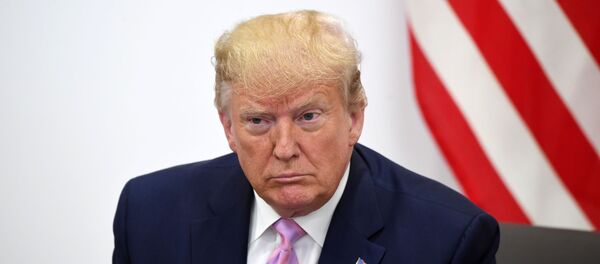 Президент США Дональд Трамп во время беседы с президентом РФ Владимиром Путиным в Осаке, архивное фото - Sputnik Литва