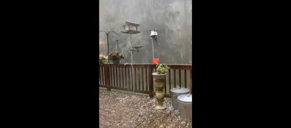 Град в Нью-Хемпшире - Sputnik Литва