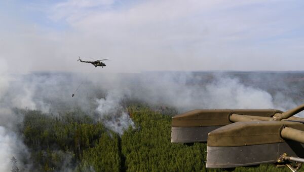 Ликвидация пожаров в Красноярском крае, архивное фото - Sputnik Lietuva