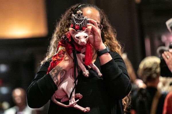 За кулисами перед началом шоу кошачьей моды в Algonquin Hotel’ на Манхэттене, Нью-Йорк - Sputnik Lietuva