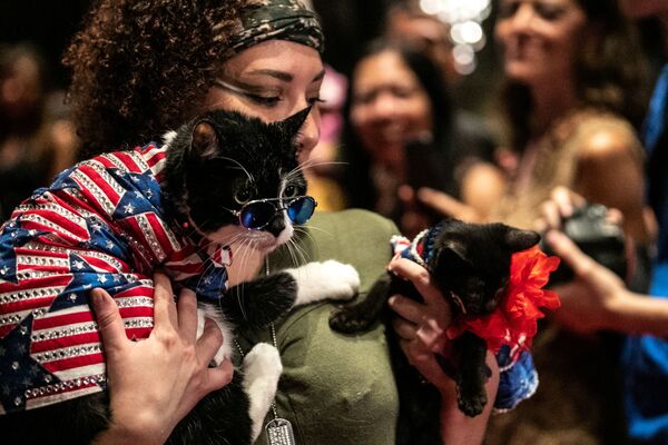 Кошки Balboo and Figaro на подиуме во время показа кошачьей моды Algonquin Hotel’s Annual Cat Fashion Show в Нью-Йорке - Sputnik Lietuva