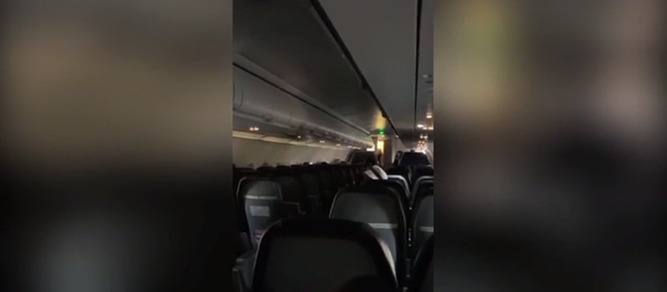 Сумасшедший полет: в пассажирский самолет залетела летучая мышь - Sputnik Литва