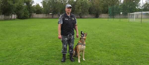 Начальник отряда кинологов Арунас Петрошюс со своей бельгийской овчаркой по имени Натас Начальник отряда кинологов Арунас Петрошюс со своей бельгийской овчаркой по имени Натас - Sputnik Литва