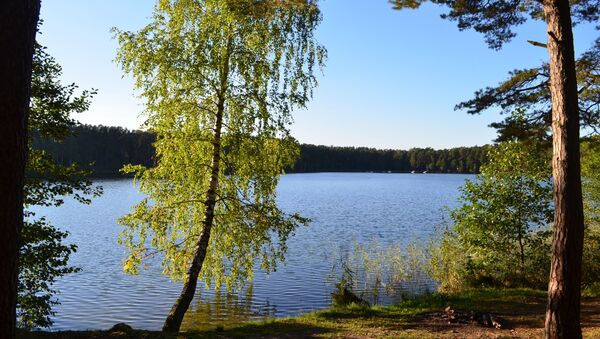 Озеро Балжис в Литве, архивное фото - Sputnik Литва