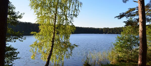 Озеро Балжис в Литве, архивное фото - Sputnik Литва