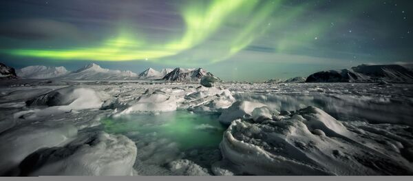 Аляска, архивное фото Аляска, архивное фото - Sputnik Lietuva