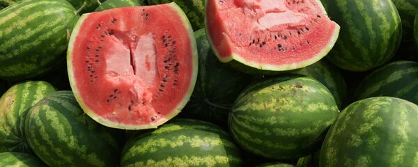 Арбузы, архивное фото - Sputnik Литва