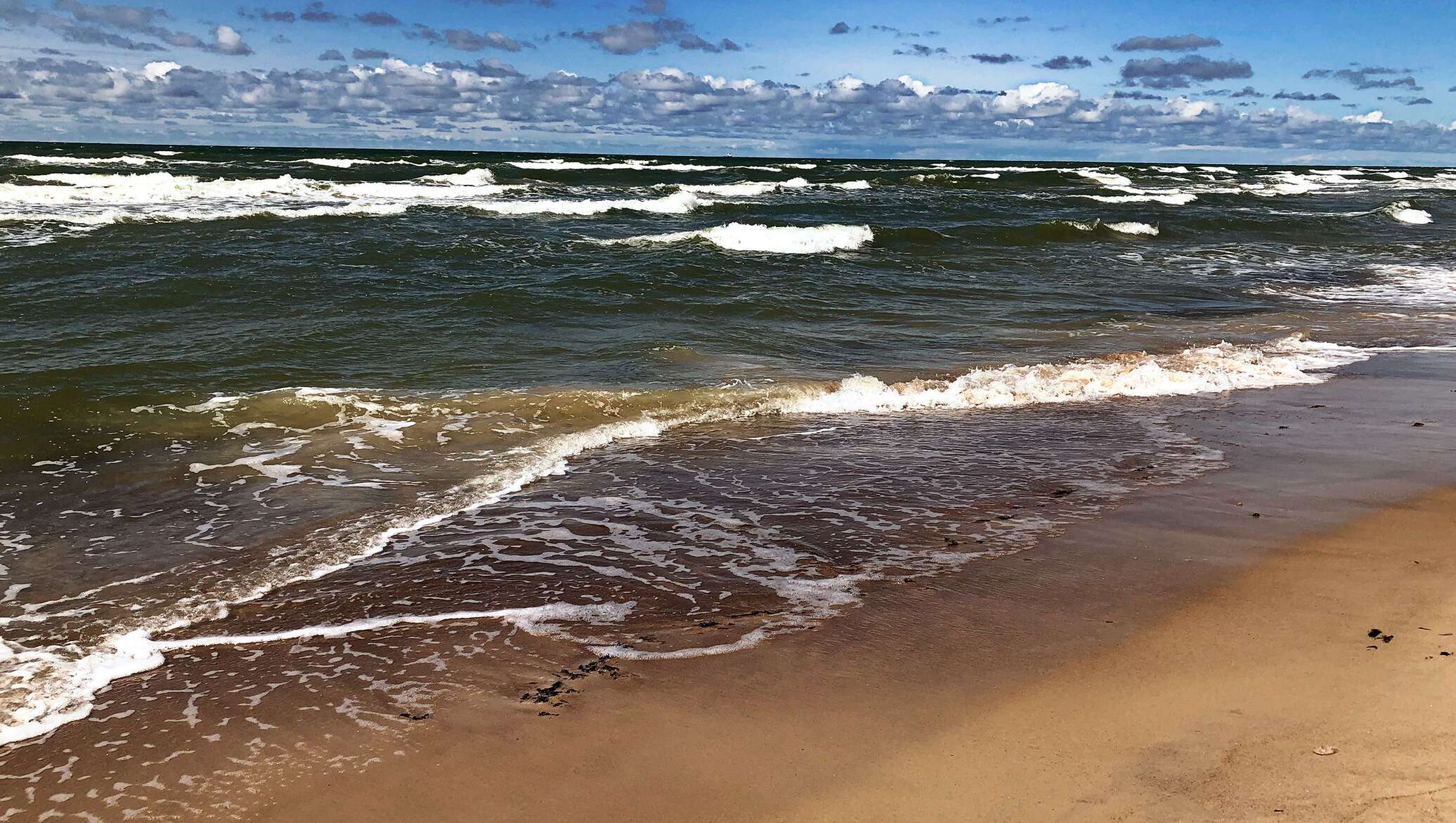 Крупный балтийский. Балтийское море Паланга. Балтийское море Литва. Акватория Балтийского моря. Балтийское море в ноябре.