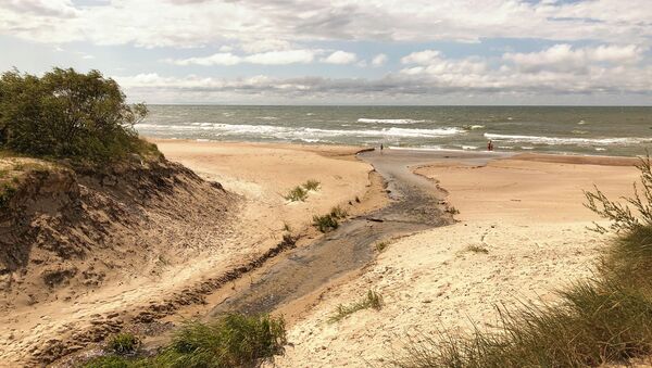 Дюны и пляж на Балтийском море в Паланге, архивное фото - Sputnik Литва