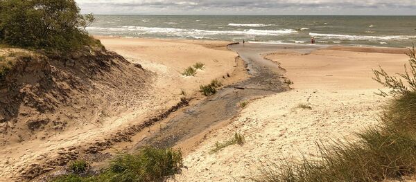 Дюны и пляж на Балтийском море в Паланге, архивное фото - Sputnik Литва