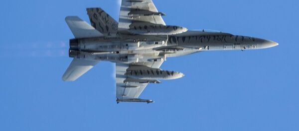Американский истребитель F-18, архивное фото - Sputnik Литва