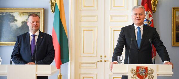 Šalies vadovas Gitanas Nausėda ir ministras pirmininkas Saulius Skvernelis Šalies vadovas Gitanas Nausėda ir ministras pirmininkas Saulius Skvernelis - Sputnik Lietuva