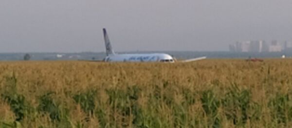 Пассажирский самолёт совершил жесткую посадку в Подмосковье  - Sputnik Литва