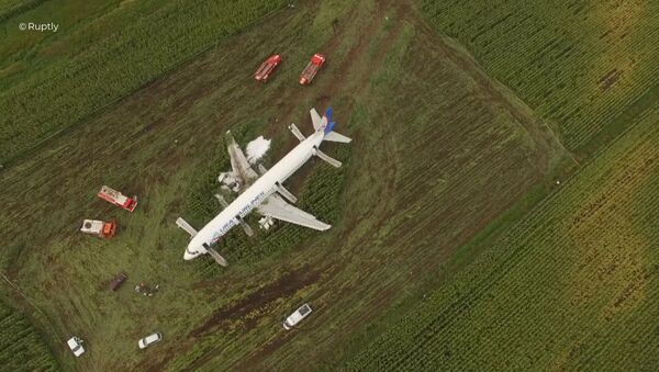 Пассажирский самолёт совершил аварийную посадку в Подмосковье - Sputnik Литва