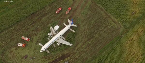 Пассажирский самолёт совершил аварийную посадку в Подмосковье - Sputnik Литва