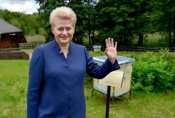 Grybauskaitė apsilankė Stripeikių bitininkystės muziejuje Grybauskaitė apsilankė Stripeikių bitininkystės muziejuje - Sputnik Lietuva