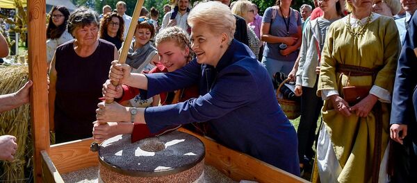 Экс-президент Литвы посетила Музей пчеловодства в Игналинском районе Экс-президент Литвы посетила Музей пчеловодства в Игналинском районе - Sputnik Lietuva