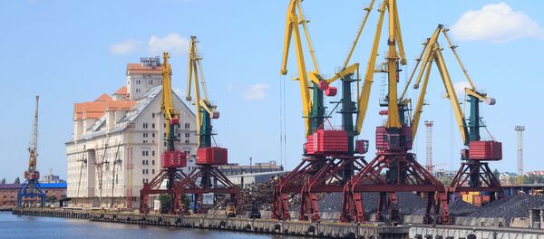 Краны в морском рыбном порту Калининграда, архивное фото - Sputnik Литва