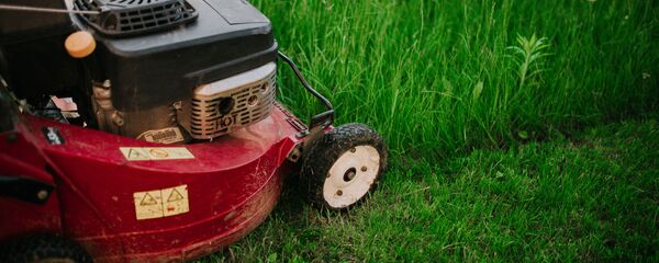 Газонокосилка, архивное фото - Sputnik Литва