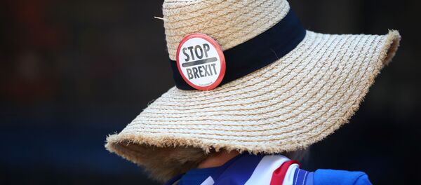 Противница Brexit перед канцелярией премьера Бориса Джонсона, 23 июля 2019 года - Sputnik Литва