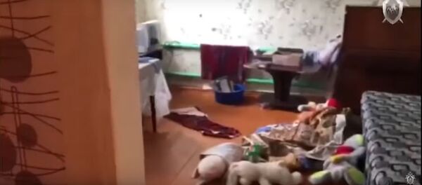 Paviešintas vaizdo įrašas iš namo, kur paauglys kirviu nužudė savo šeimą Paviešintas vaizdo įrašas iš namo, kur paauglys kirviu nužudė savo šeimą - Sputnik Lietuva