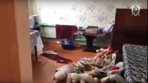 СК опубликовал видео из дома в Ульяновской области, где подросток убил топором свою семью - Sputnik Литва