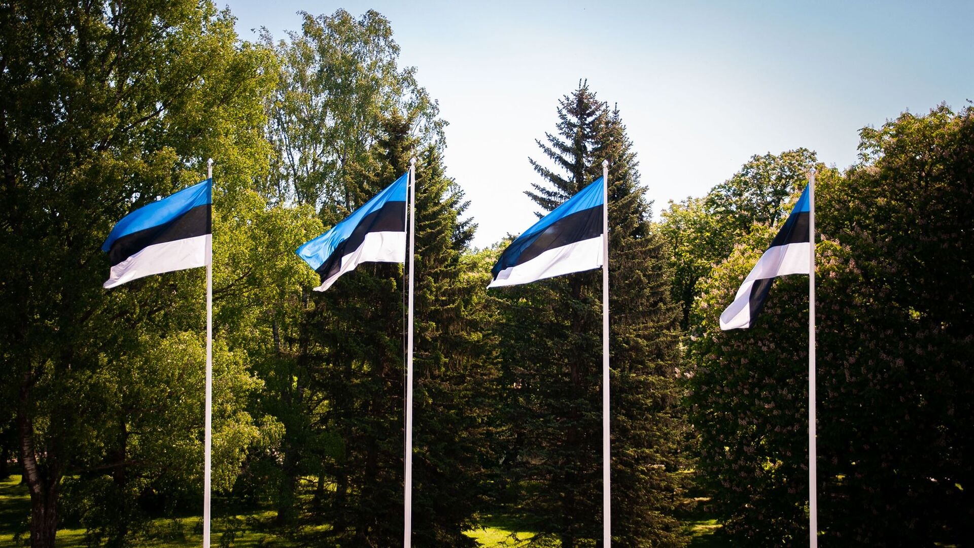 Флаги Эстонии, архивное фото - Sputnik Литва, 1920, 23.04.2021