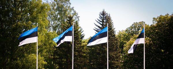 Флаги Эстонии, архивное фото - Sputnik Литва